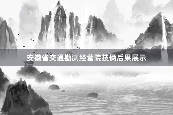 安徽省交通勘测经营院技俩后果展示