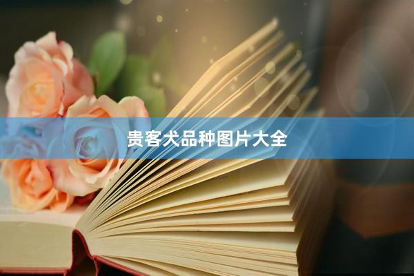 贵客犬品种图片大全